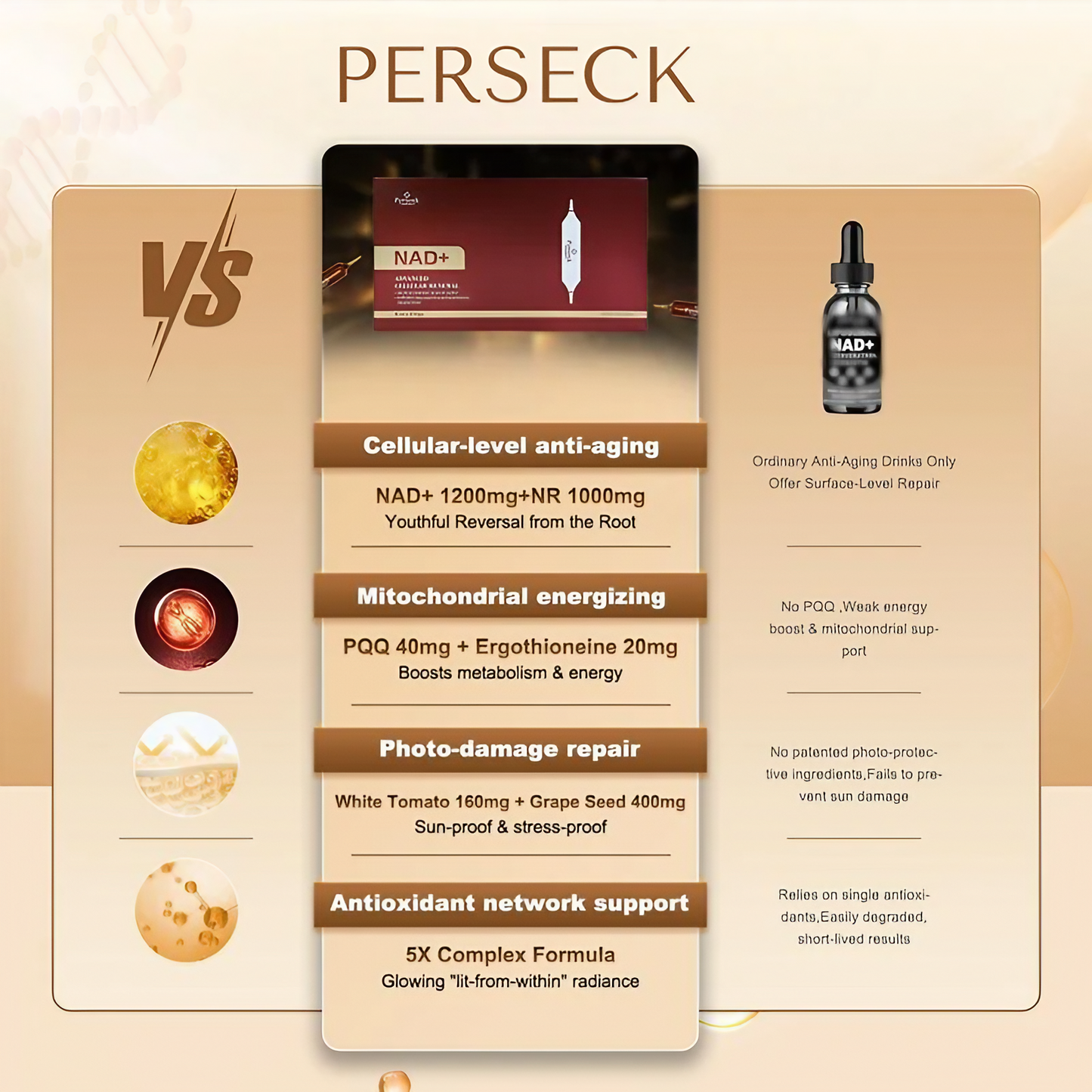 Perseck Nad Plus